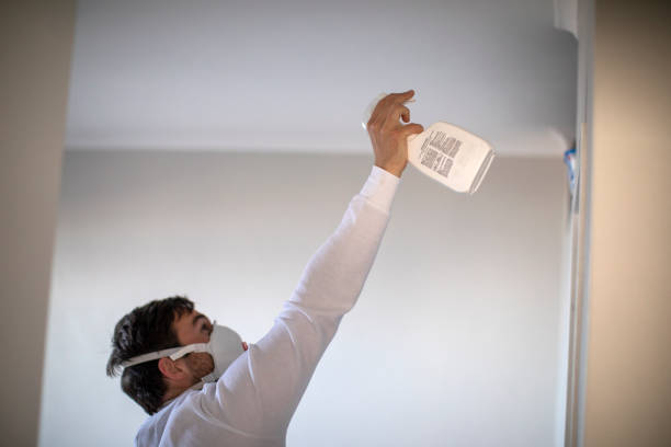 Best Local Mold Removal Service  in Annandale, VA